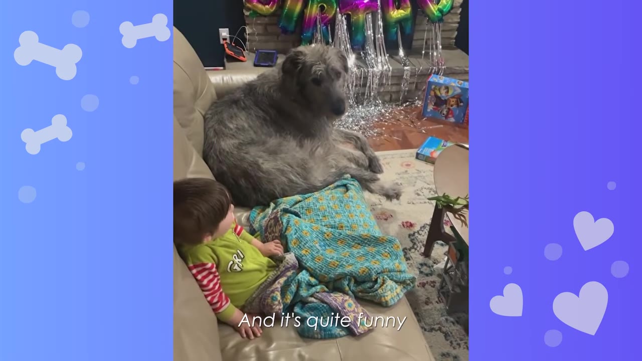 A large, shaggy grey dog sits on a beige leather couch next to a small toddler wearing a green shirt.