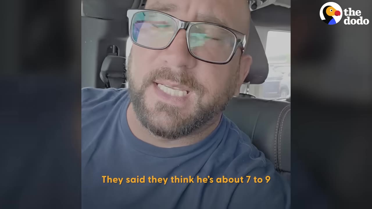 A close-up of a man with glasses and a beard speaking inside a car, with subtitles reading 'They said they think he's about 7 to 9'.