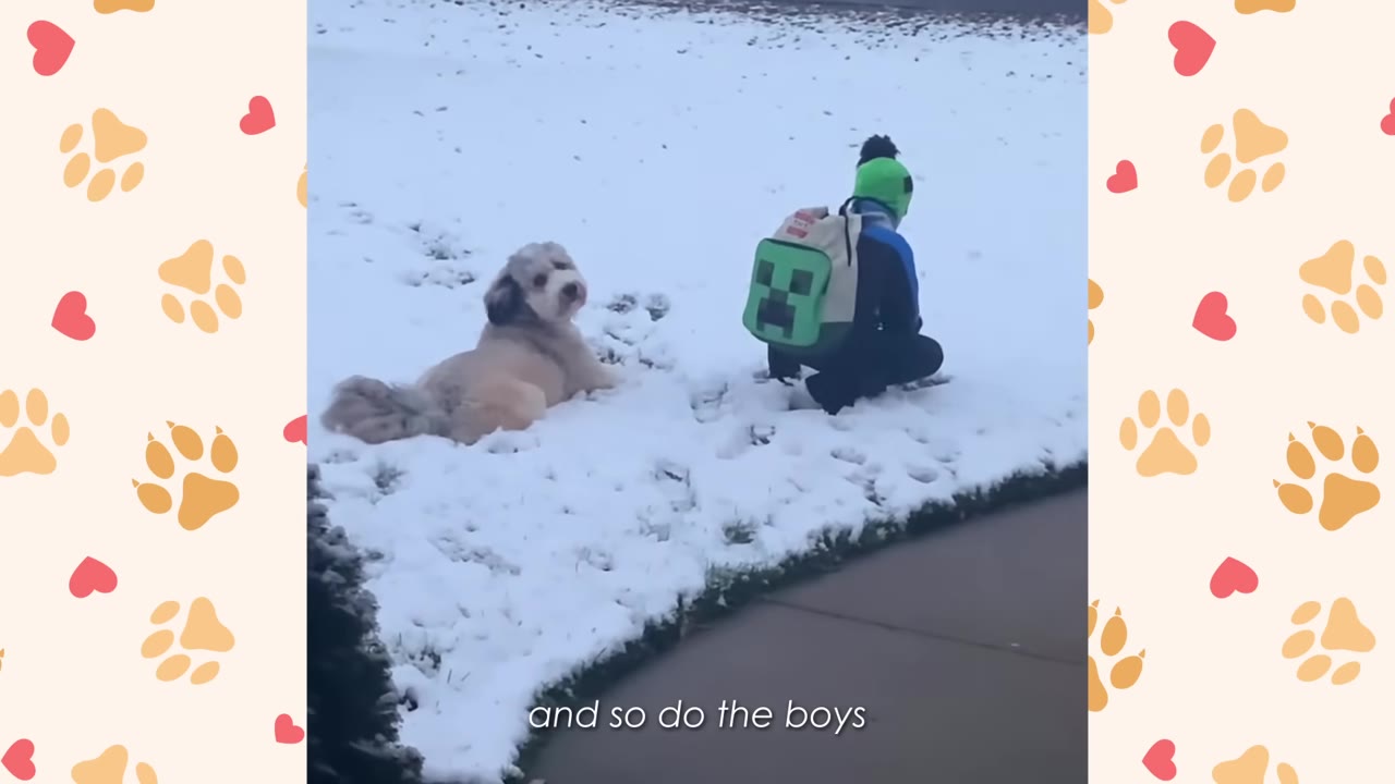 A fluffy dog lies in the snow next to a child wearing a green backpack.