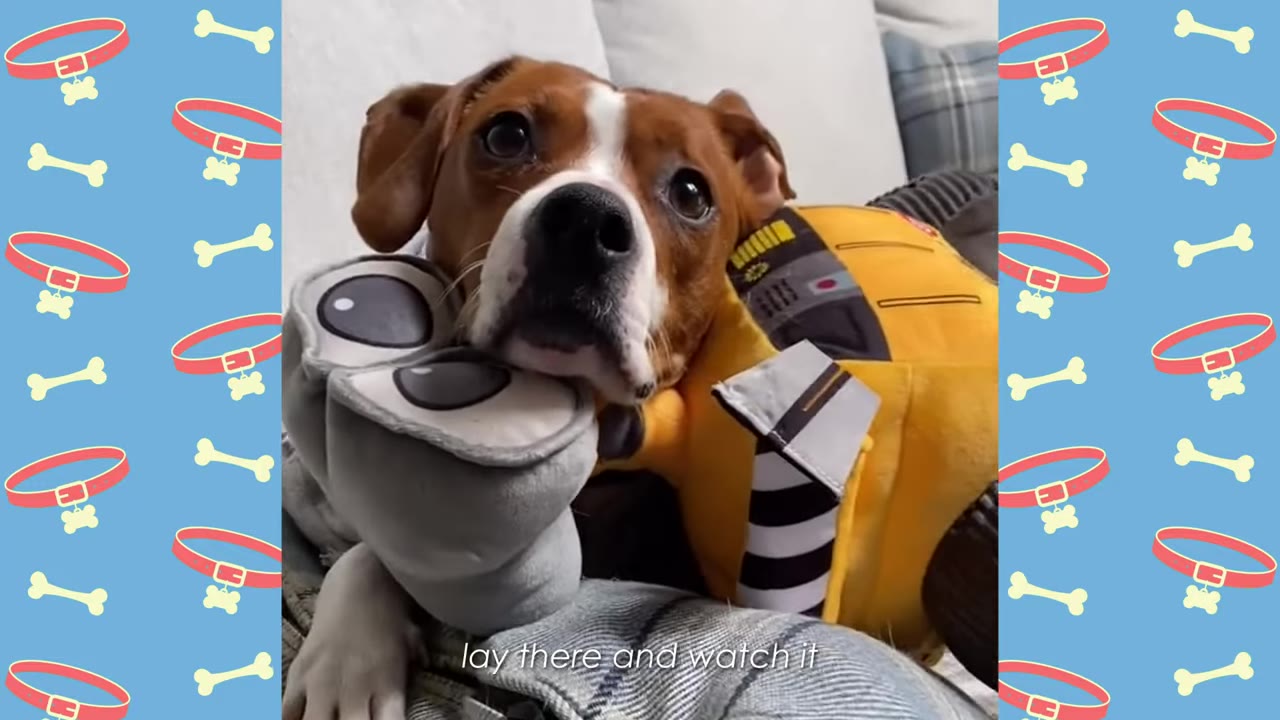 A brown and white dog named Winston rests his head on a plush WALL-E toy while looking towards the camera.