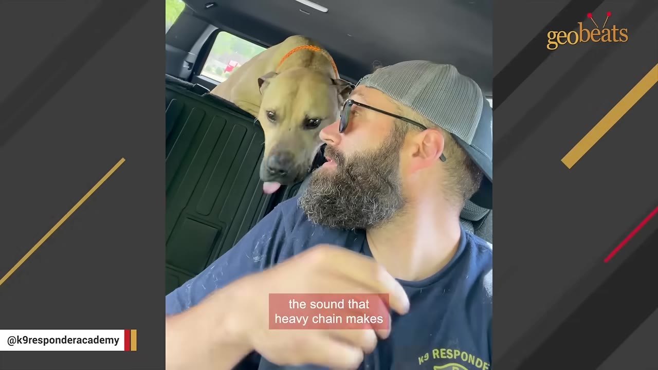 A tan dog in the back of a car leans forward to lick the shoulder of a bearded man wearing a grey cap and sunglasses.