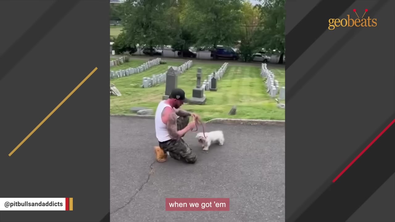A man in a white tank top and camouflage pants kneels on an asphalt path, holding a leash and gently interacting with a small white dog in front of a grassy cemetery.