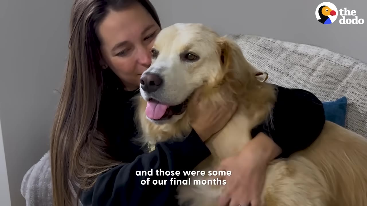 A woman with long brown hair hugs a golden retriever dog affectionately on a couch.