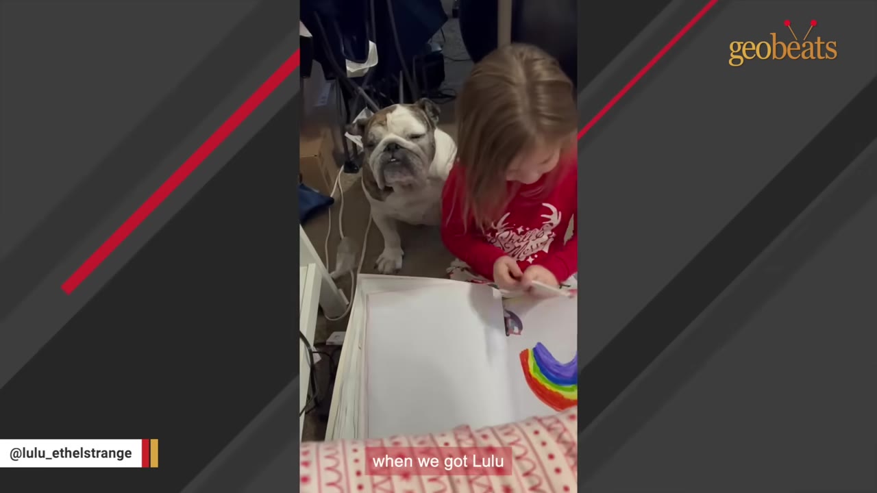 An adult bulldog sits calmly next to a young girl in a red shirt who is drawing a rainbow in a notebook.