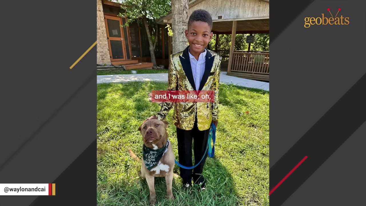 A young boy smiling in a shiny gold sequined suit jacket and black trousers, standing on a grassy lawn next to a brown dog wearing a green bandana.