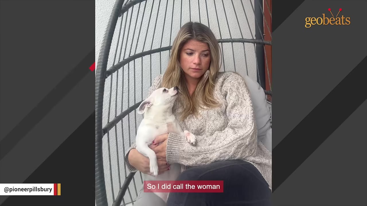 A woman in a beige knit sweater sits in a hanging chair, holding a small white dog with brown ears who is looking up at her.