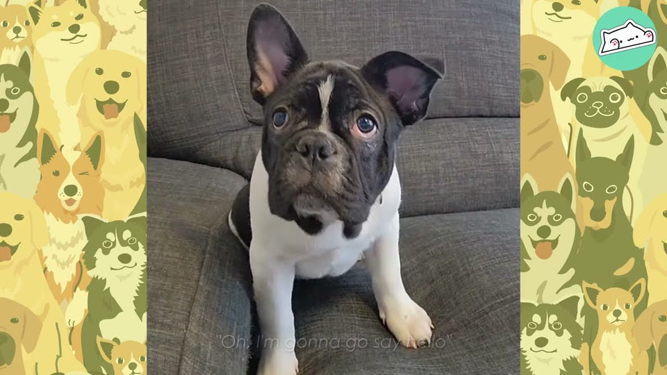 Video frame for Hoping For A Playmate