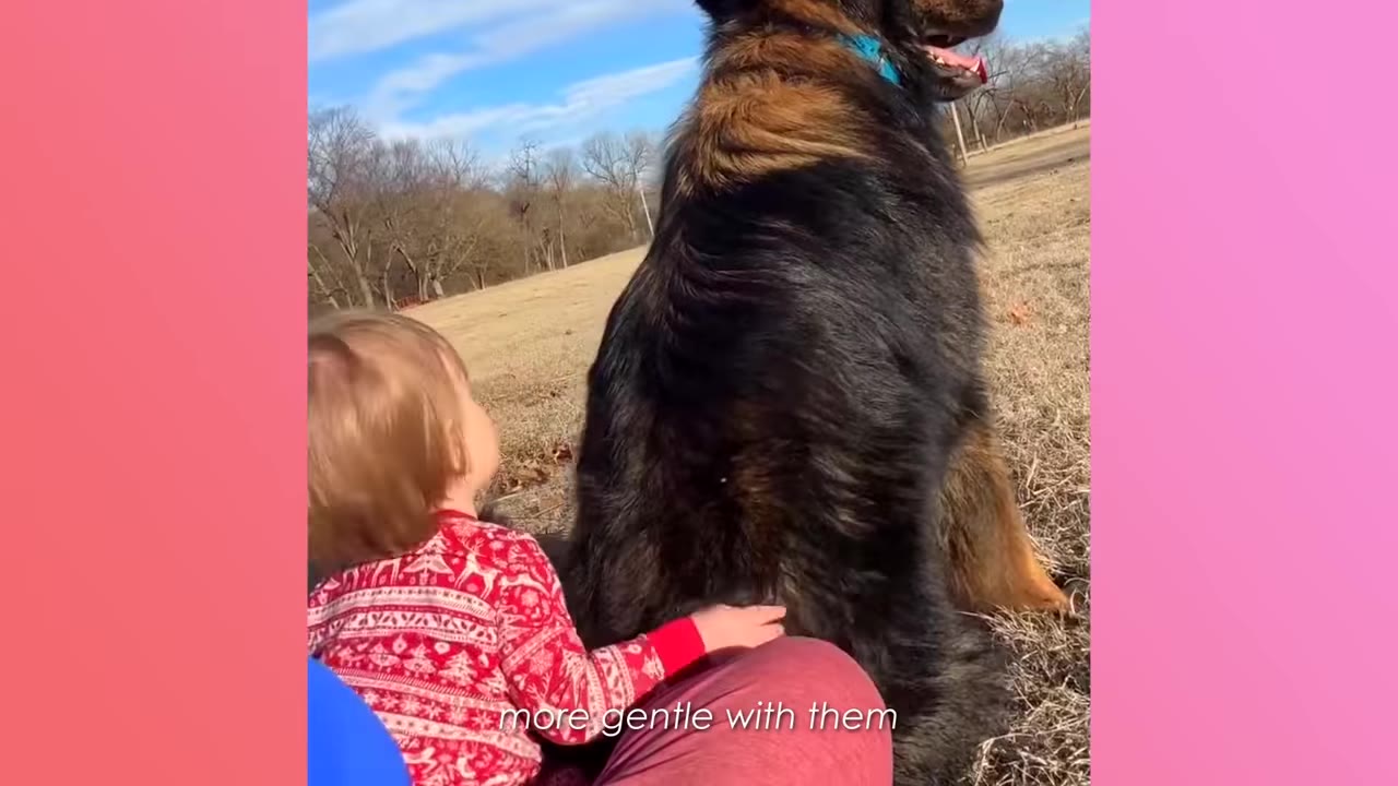 A toddler in a red patterned shirt sits on the grass and gently pats the back of a large black and tan dog.