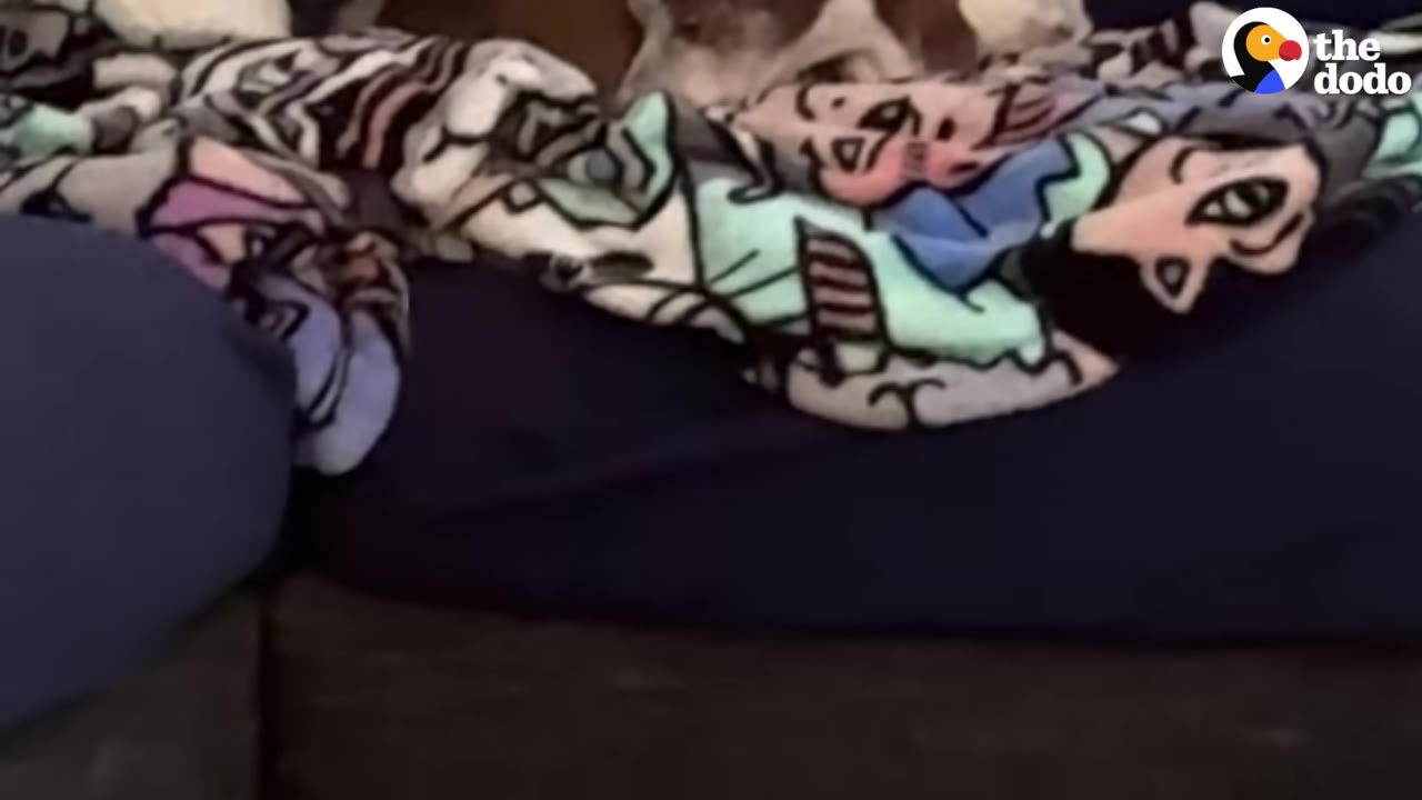 A dog resting under a colorful patterned blanket on a dark couch.