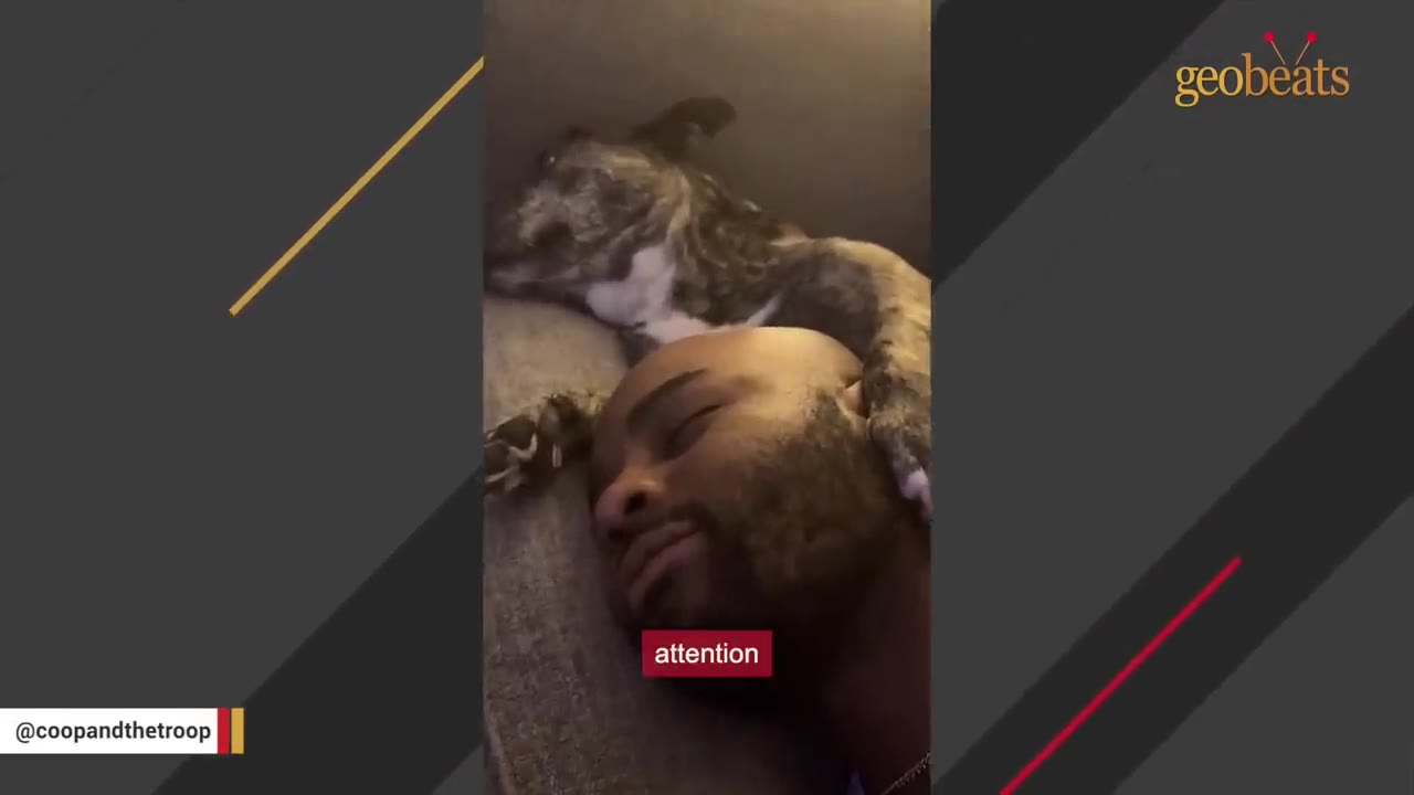 A brindle dog rests its head and paw on a sleeping man's head, showing a moment of trust and safety.