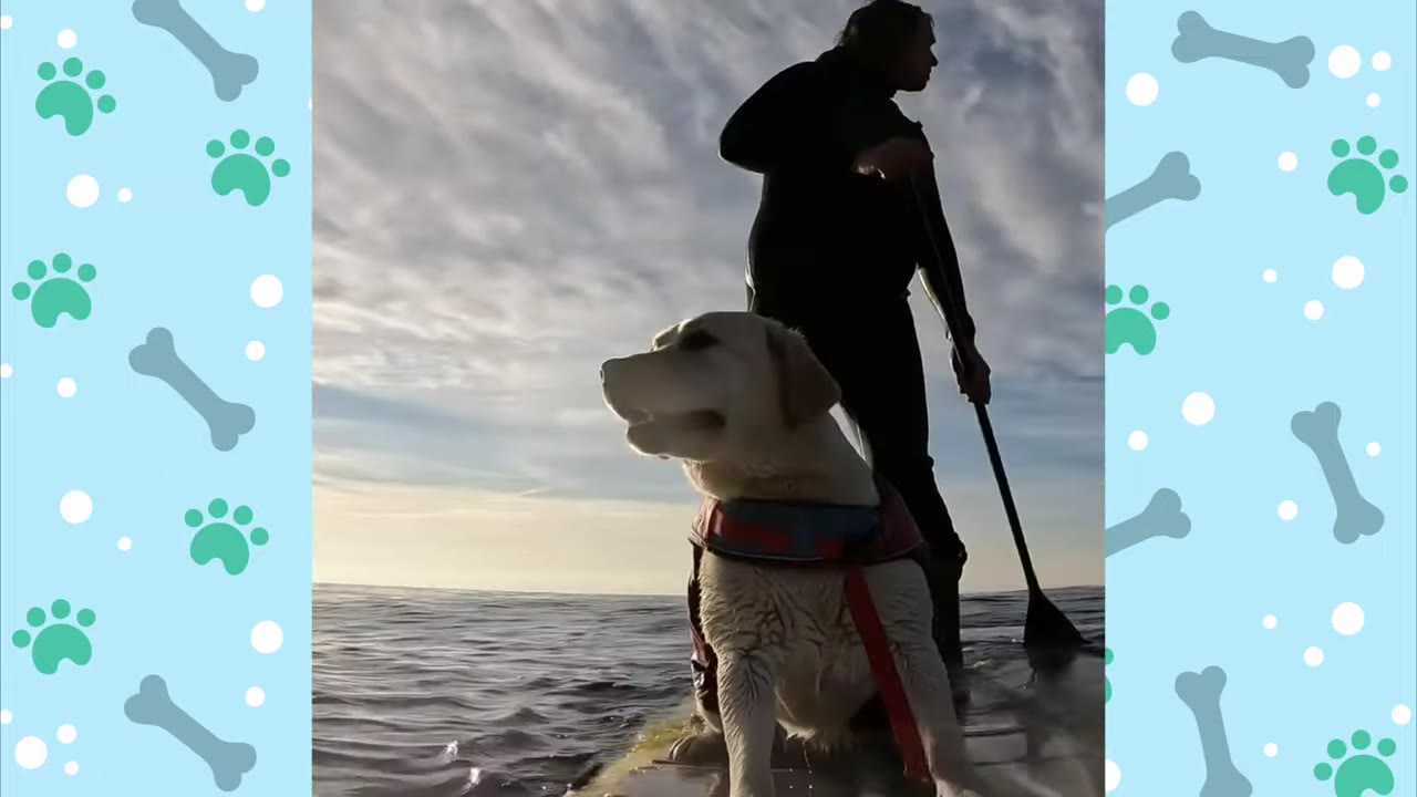 A yellow Labrador Retriever wearing a life vest sits on the front of a paddleboard while a person in a wetsuit stands behind, paddling on the water under a cloudy sky.