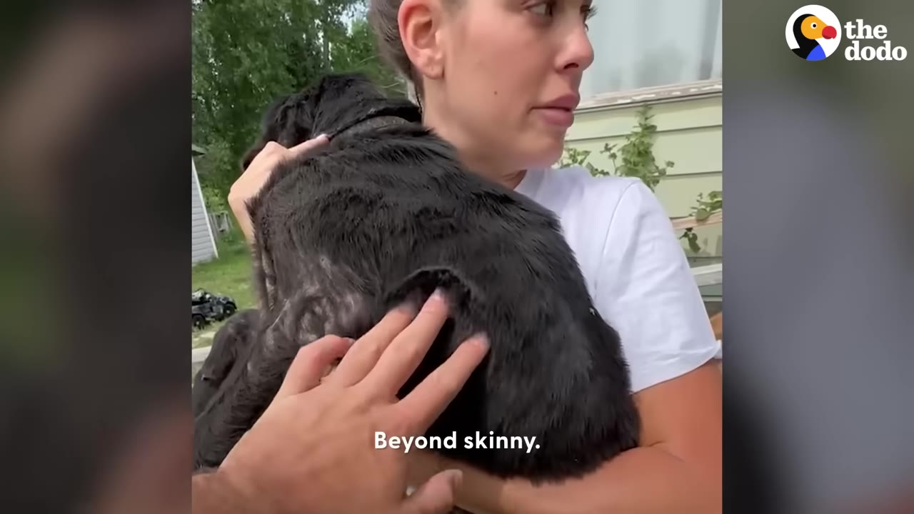 A woman with a concerned expression holds a thin black dog in her arms while a hand gently touches the dog's back.