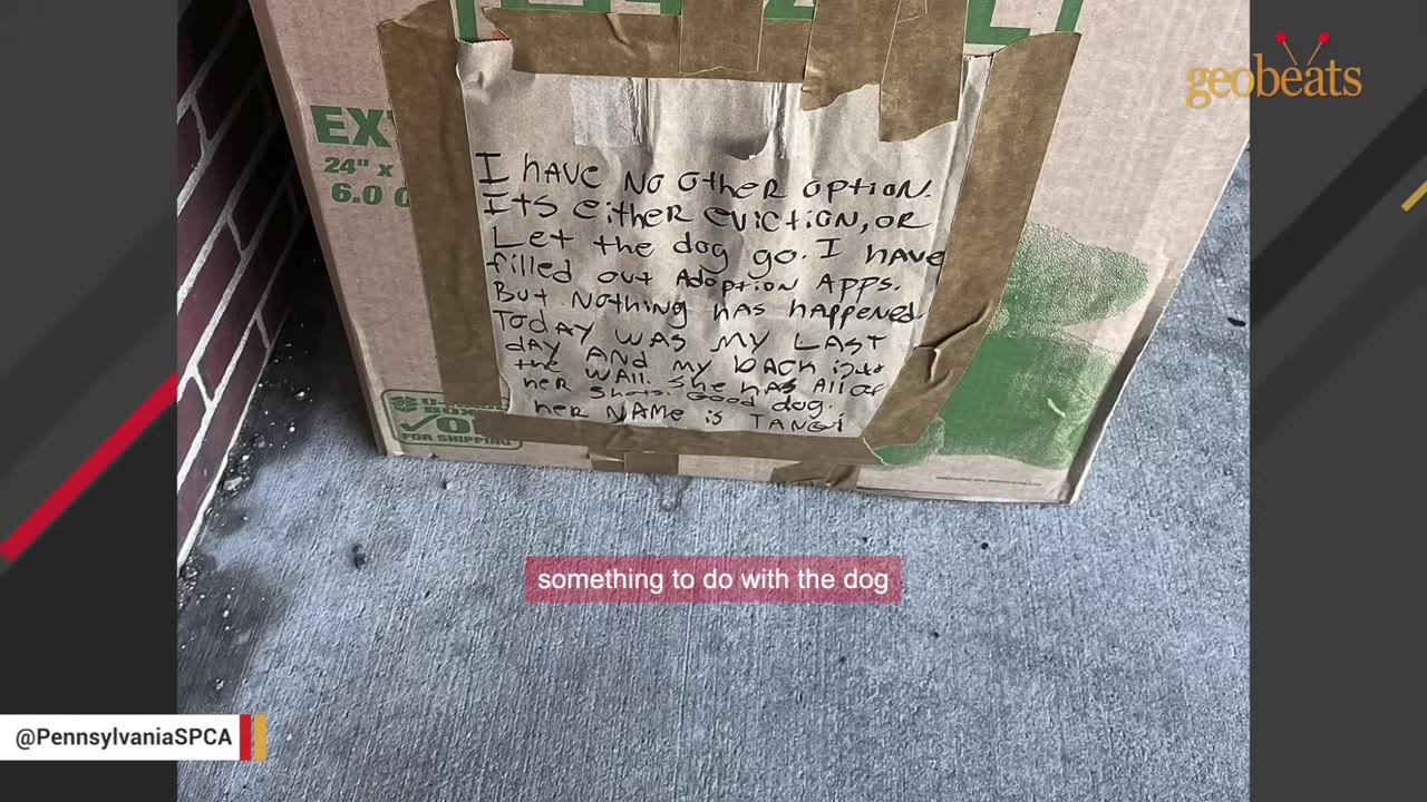 A handwritten note taped to a cardboard box reads, 'I HAVE NO OTHER OPTION. Its either eviction, or Let the dog go... her NAME is TANGI'.