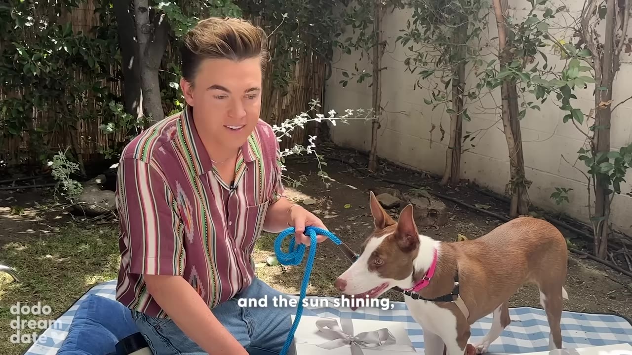 A man in a striped shirt sits on a blue checkered blanket outdoors, smiling at a brown and white dog on a leash.