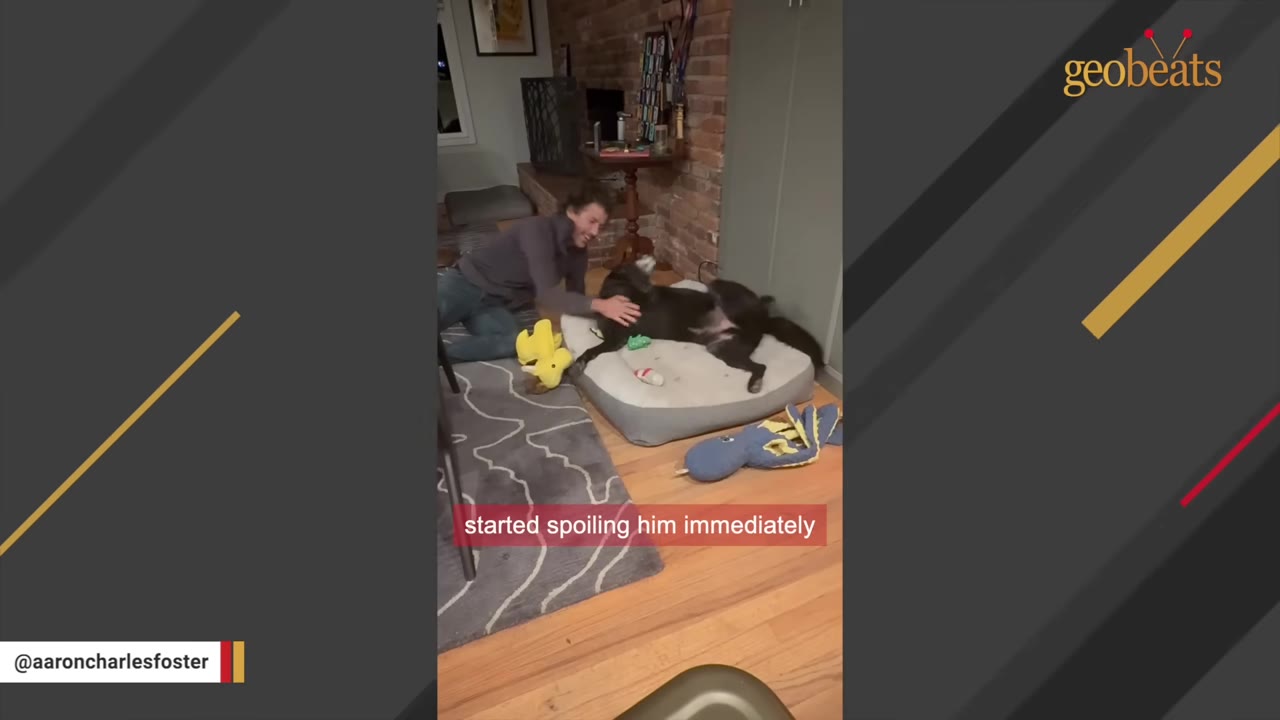 A man smiles as he pets a black dog lying on a dog bed surrounded by toys, with a caption that reads 'started spoiling him immediately'.