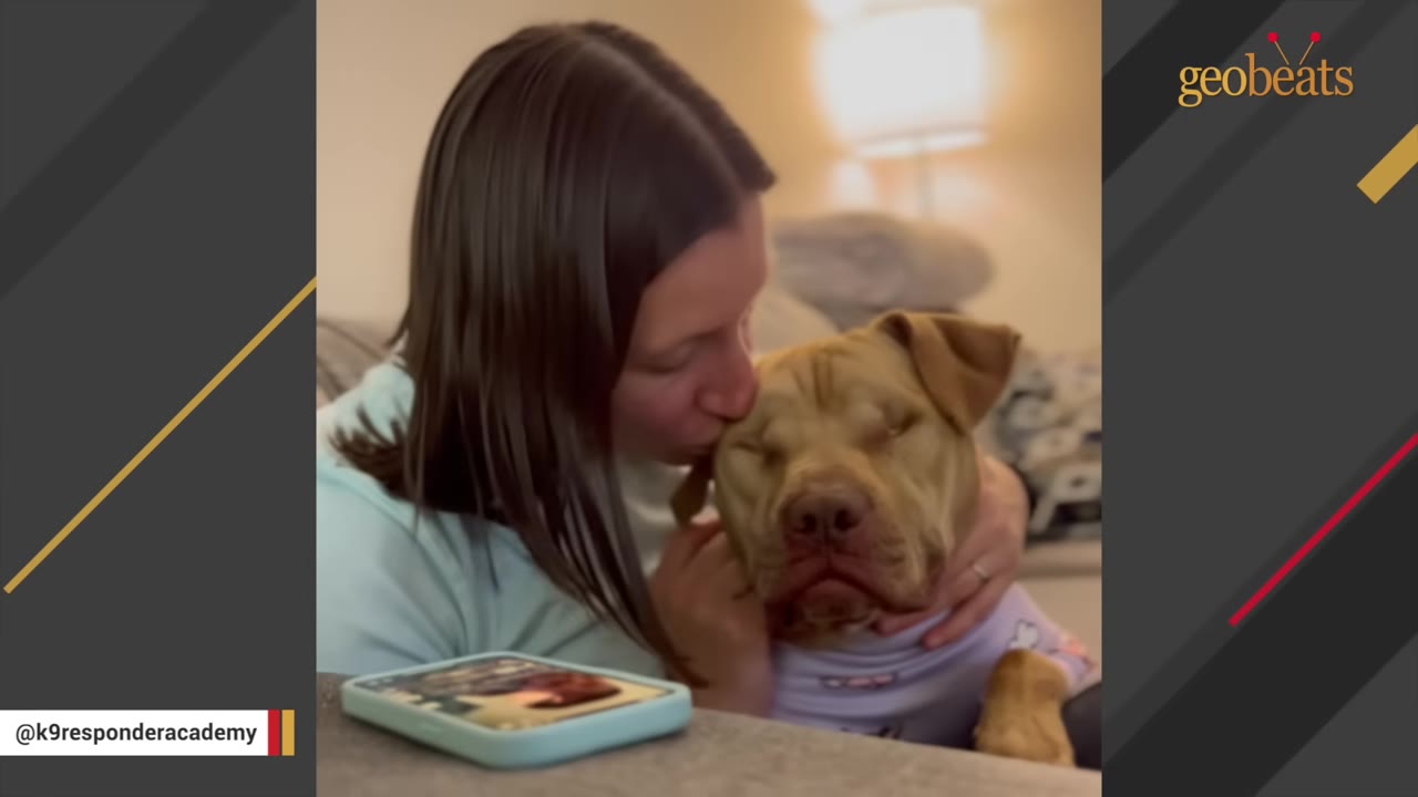 A woman gently kisses a light brown dog wearing a purple shirt on the head inside a home.