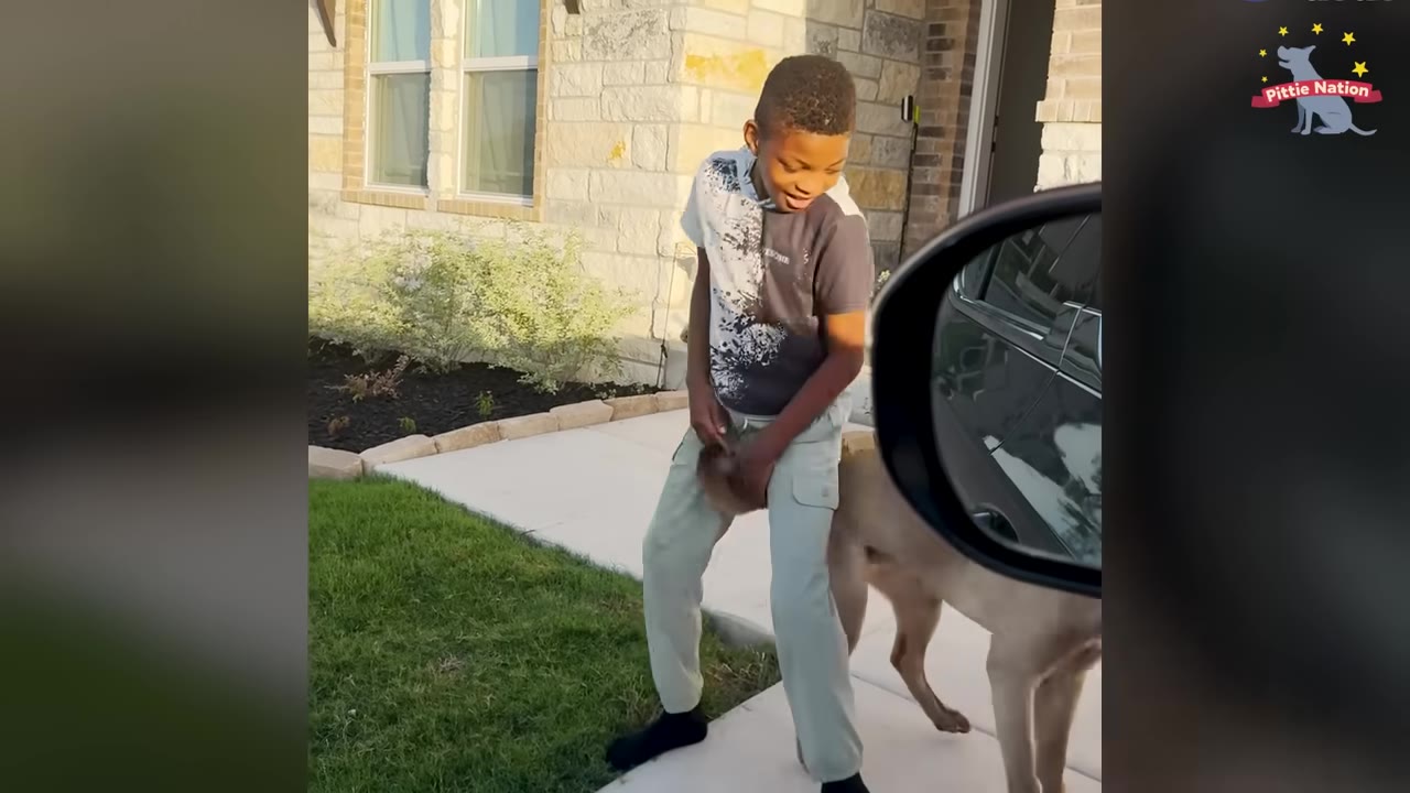 A young boy smiles as he is greeted by a light-colored dog on a sidewalk outside his house.