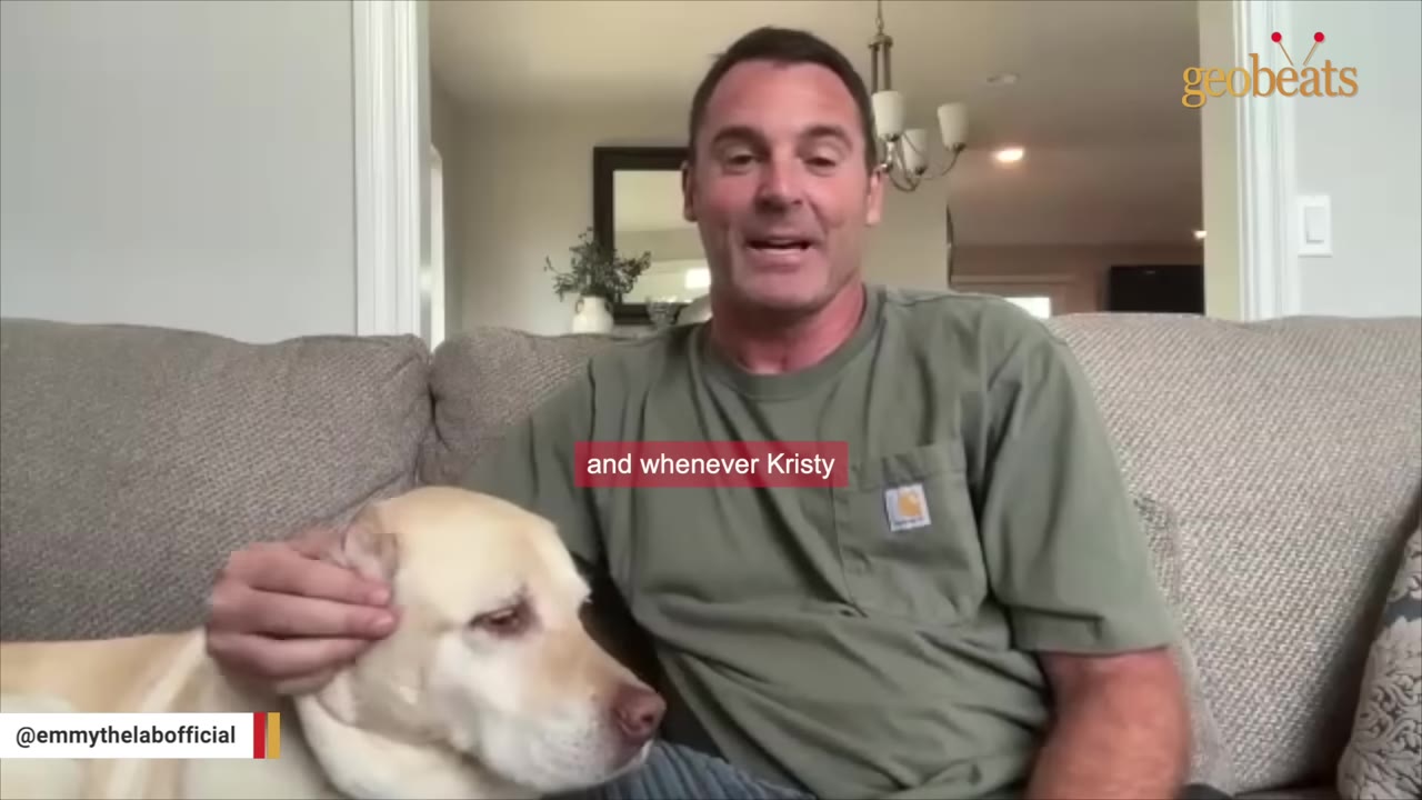 A man in a green t-shirt sits on a couch, petting a yellow Labrador Retriever.