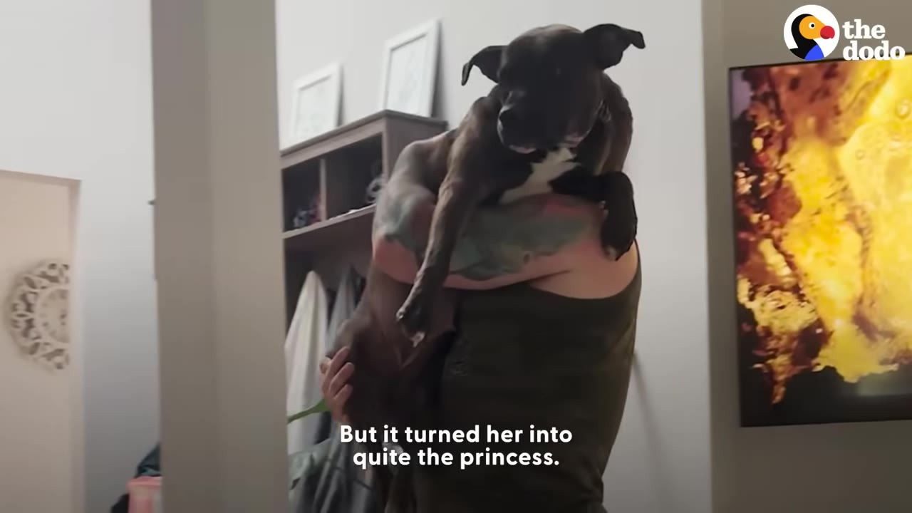 A man carrying a dark-colored pit bull over his shoulder inside a house.