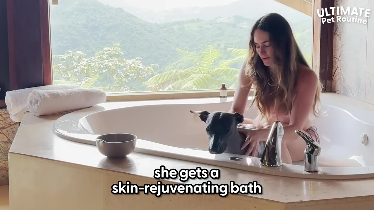 A woman with long hair bathes a hairless dog in a large white bathtub next to a window overlooking a lush green mountain landscape.