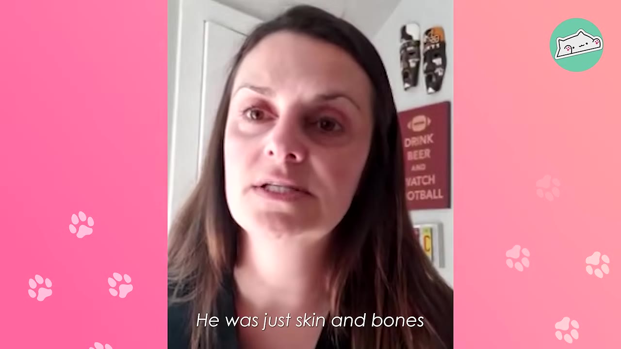 A close-up of a woman speaking with a concerned expression, with the subtitle 'He was just skin and bones' displayed at the bottom.