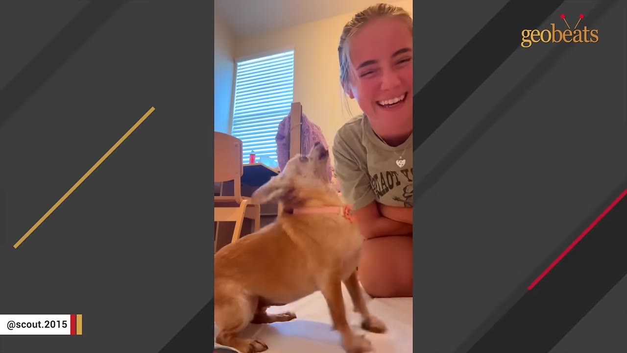 A small tan dog tilts its head back to howl while sitting next to a smiling young woman.