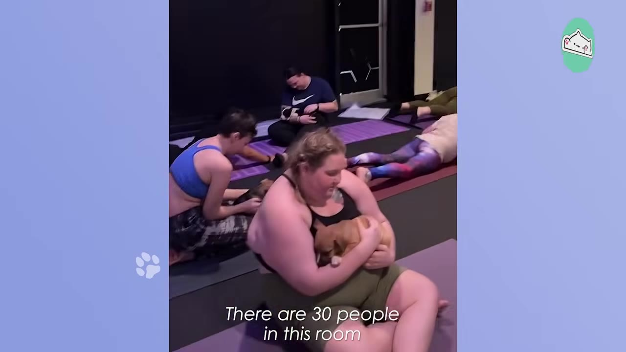 Several people sitting on yoga mats in a studio, holding and cuddling small puppies during a puppy yoga class.
