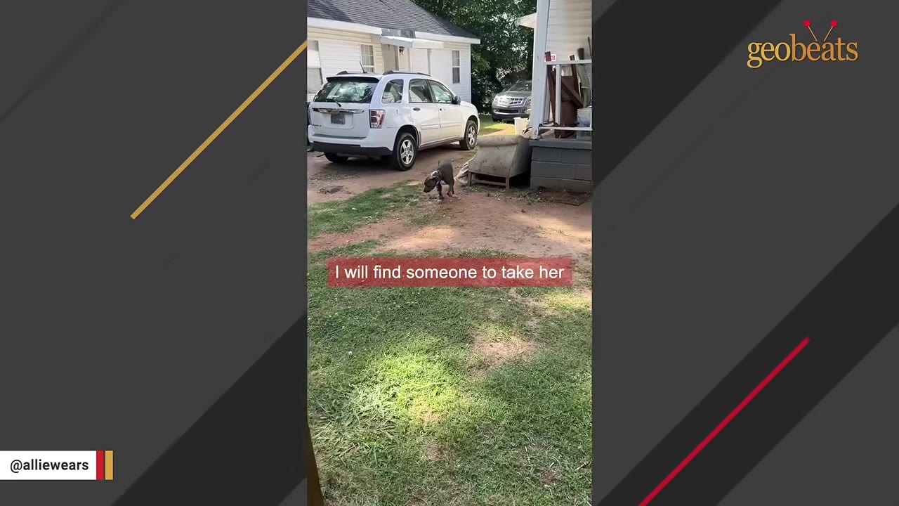 A small dark dog walks in a grassy yard near a white SUV parked in front of a house, with text overlay reading 'I will find someone to take her'.