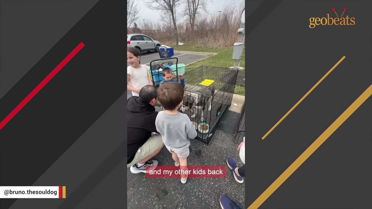 A family, including a man and several young children, gather around a wire dog crate containing a dog at an outdoor adoption event.