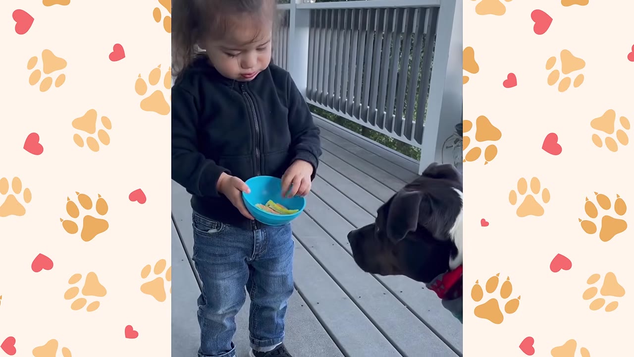 A young child in a black jacket and jeans holds a blue bowl of treats while a black and white dog looks on gently.