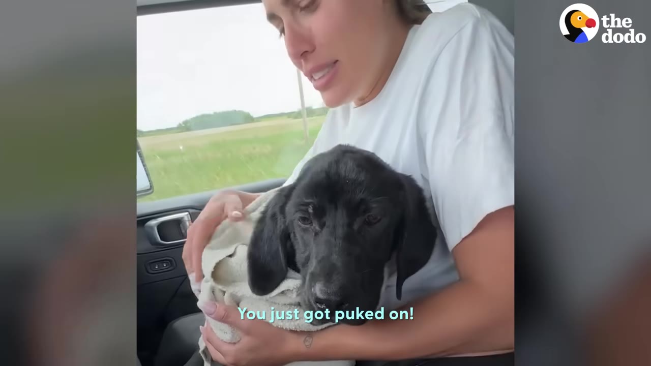 A woman in a white shirt holds a black puppy wrapped in a white towel inside a car, with a caption reading 'You just got puked on!'