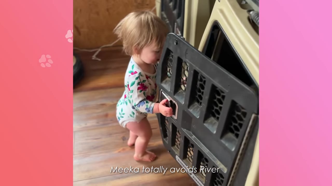 A toddler in a floral onesie stands on a wooden floor, holding onto the open door of a plastic dog crate.