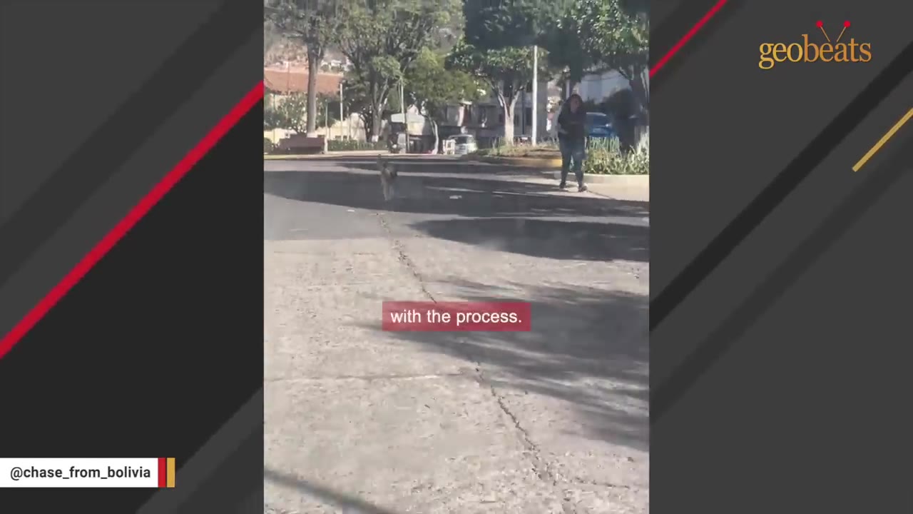 A dog runs down a paved street in Bolivia with a person walking in the background.