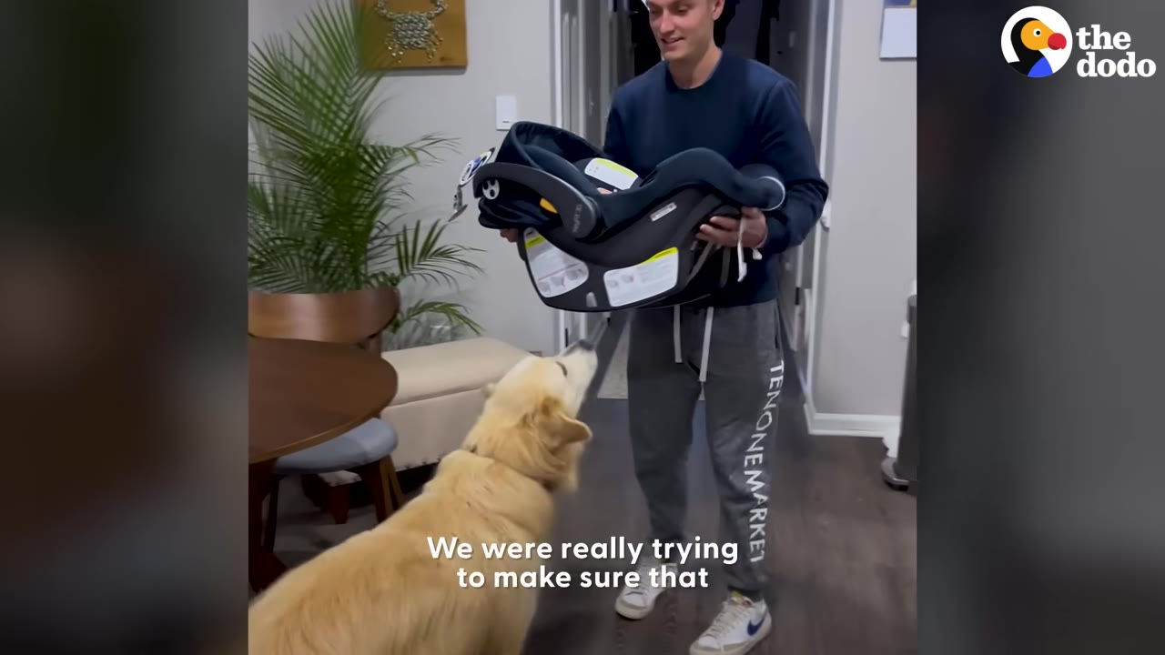 A man stands inside a house holding an infant car seat while a golden retriever looks up at it.