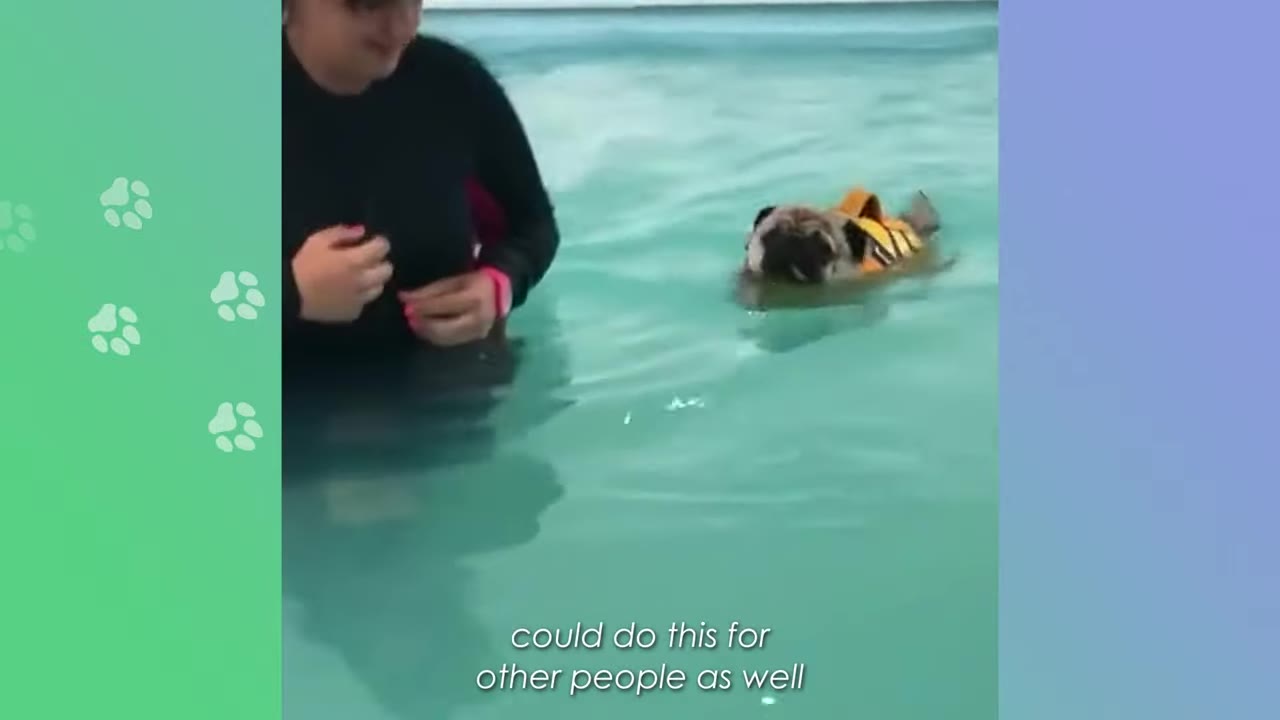 A woman stands in a swimming pool next to a pug wearing a yellow life jacket, with text on screen reading 'could do this for other people as well'.