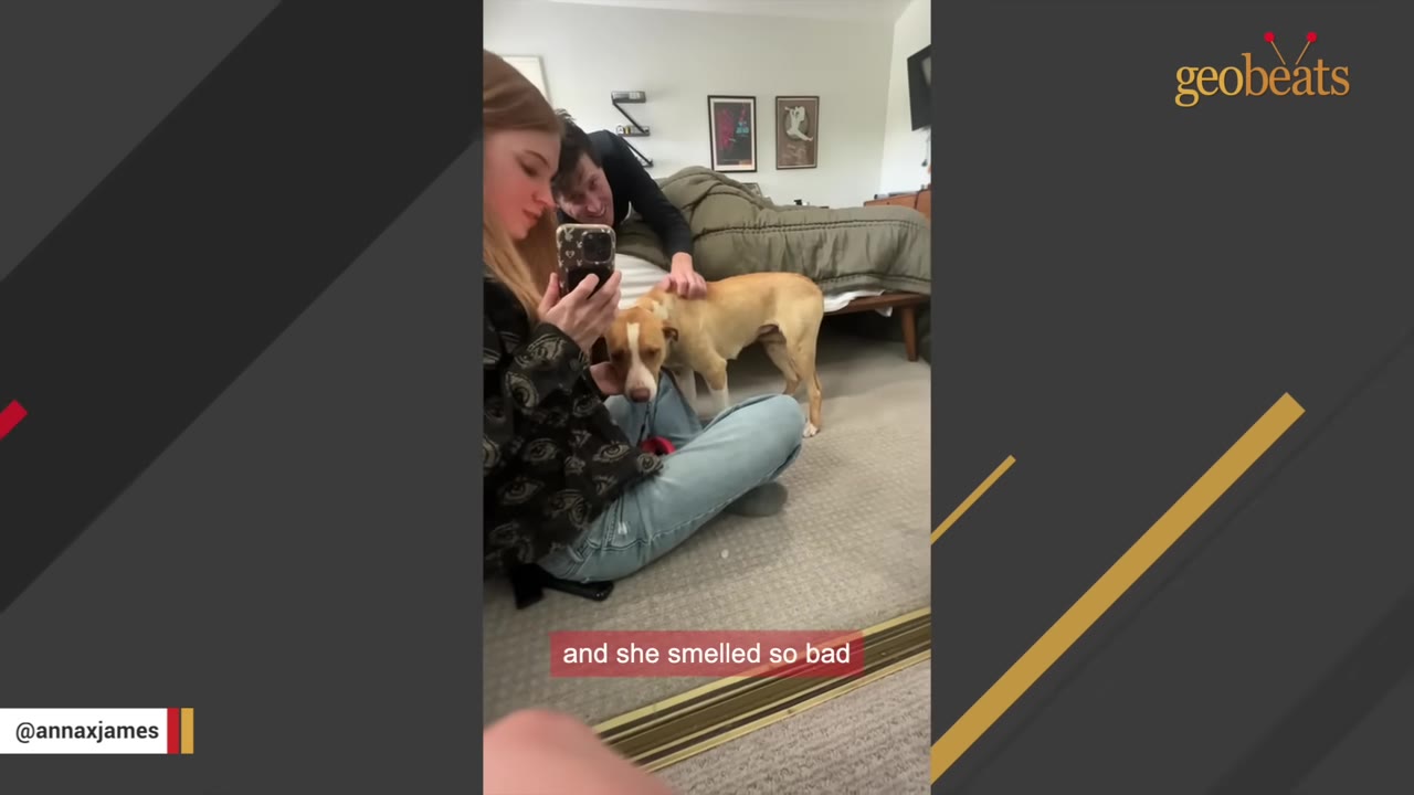 A woman sits on the floor holding a phone while a man pets a light brown dog standing next to them, with a caption overlay that reads 'and she smelled so bad'.