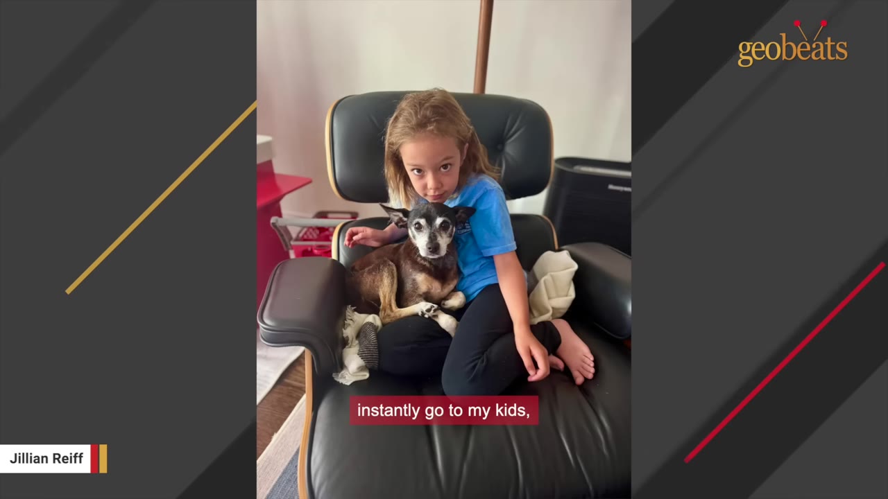 A young child sits in a black leather armchair holding a small, senior black and brown dog on their lap.