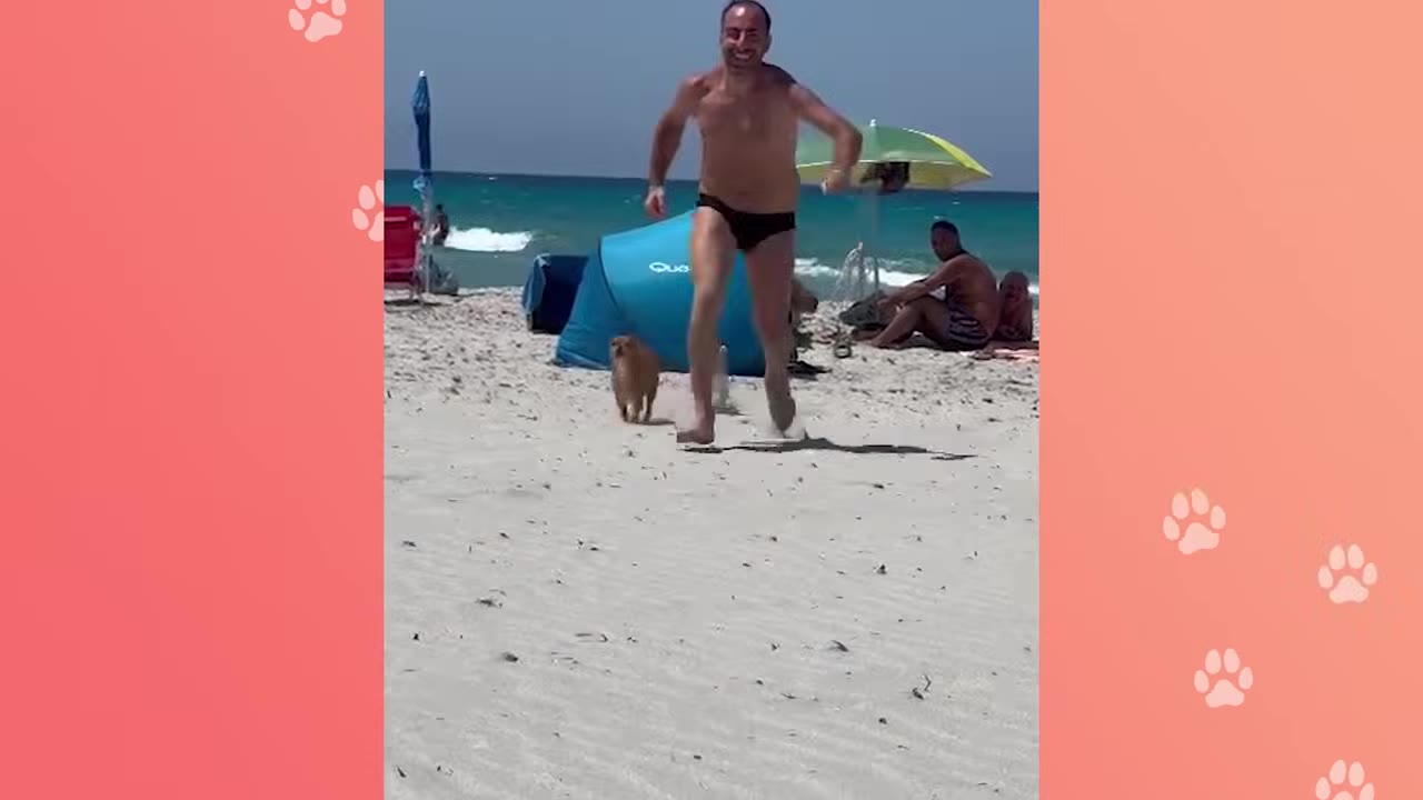 A man in swim trunks running on a sandy beach with a small brown dog running behind him.