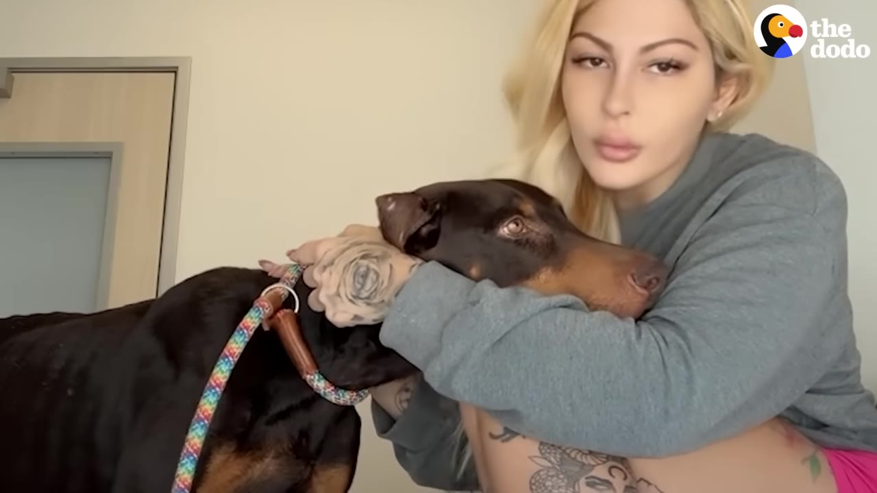 A blonde woman in a grey sweatshirt hugs a brown and tan Doberman dog, who rests its head in her arms with a sad expression.