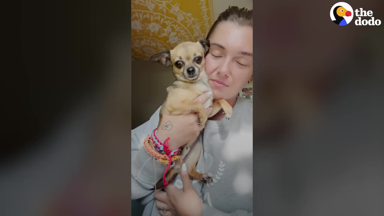 A woman holding a small tan chihuahua close to her face as the dog looks forward with large, expressive eyes.