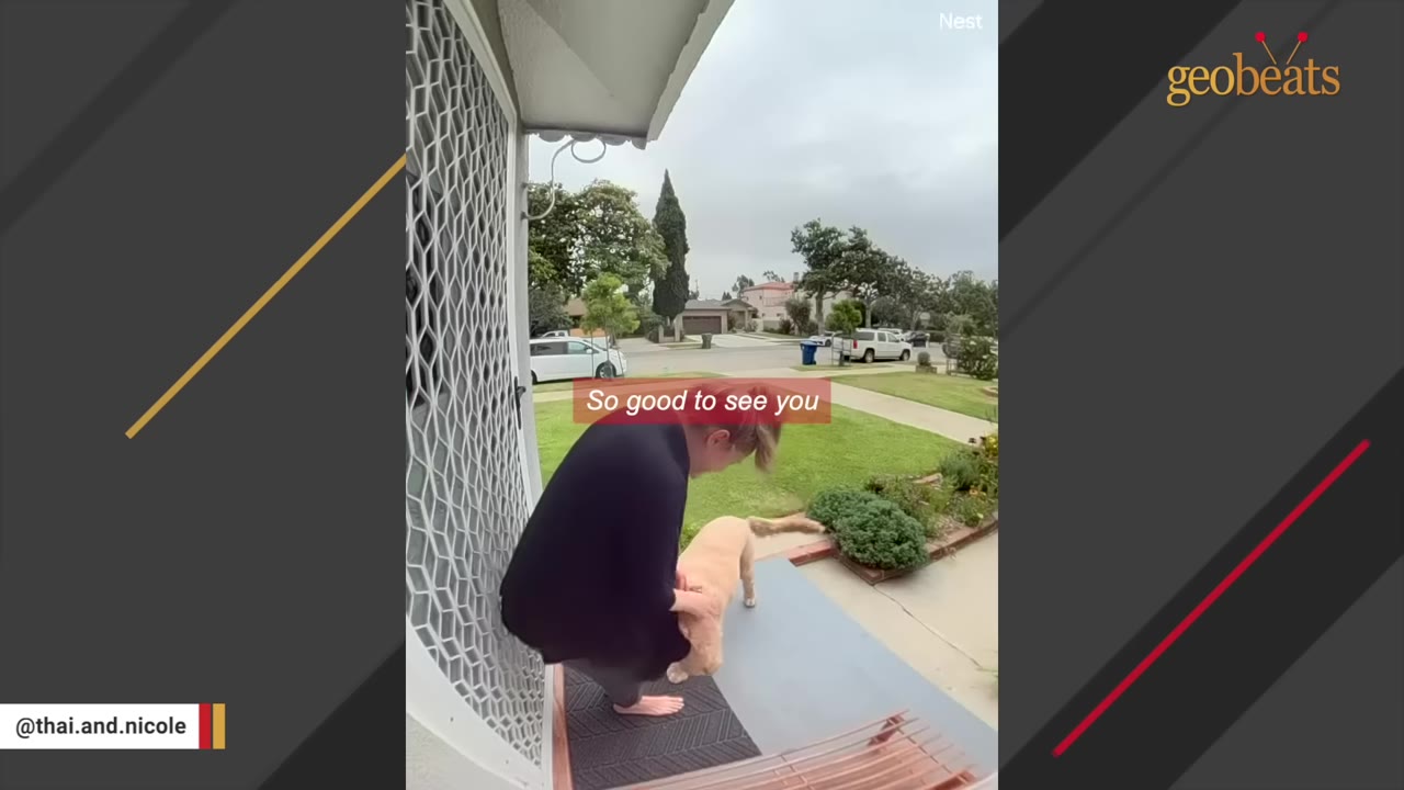 A woman in a black shirt bends down on a front porch to pet a fluffy golden dog.