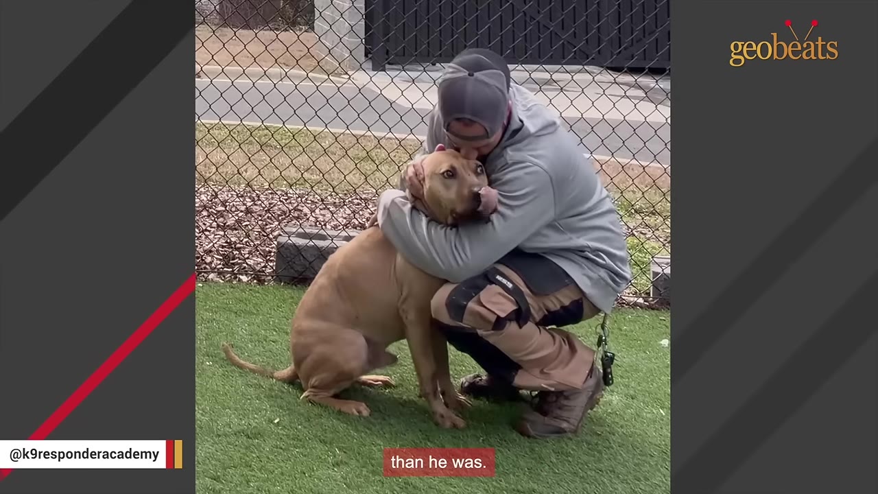 A man wearing a grey hoodie and cap crouches on green turf, warmly hugging a tan dog.