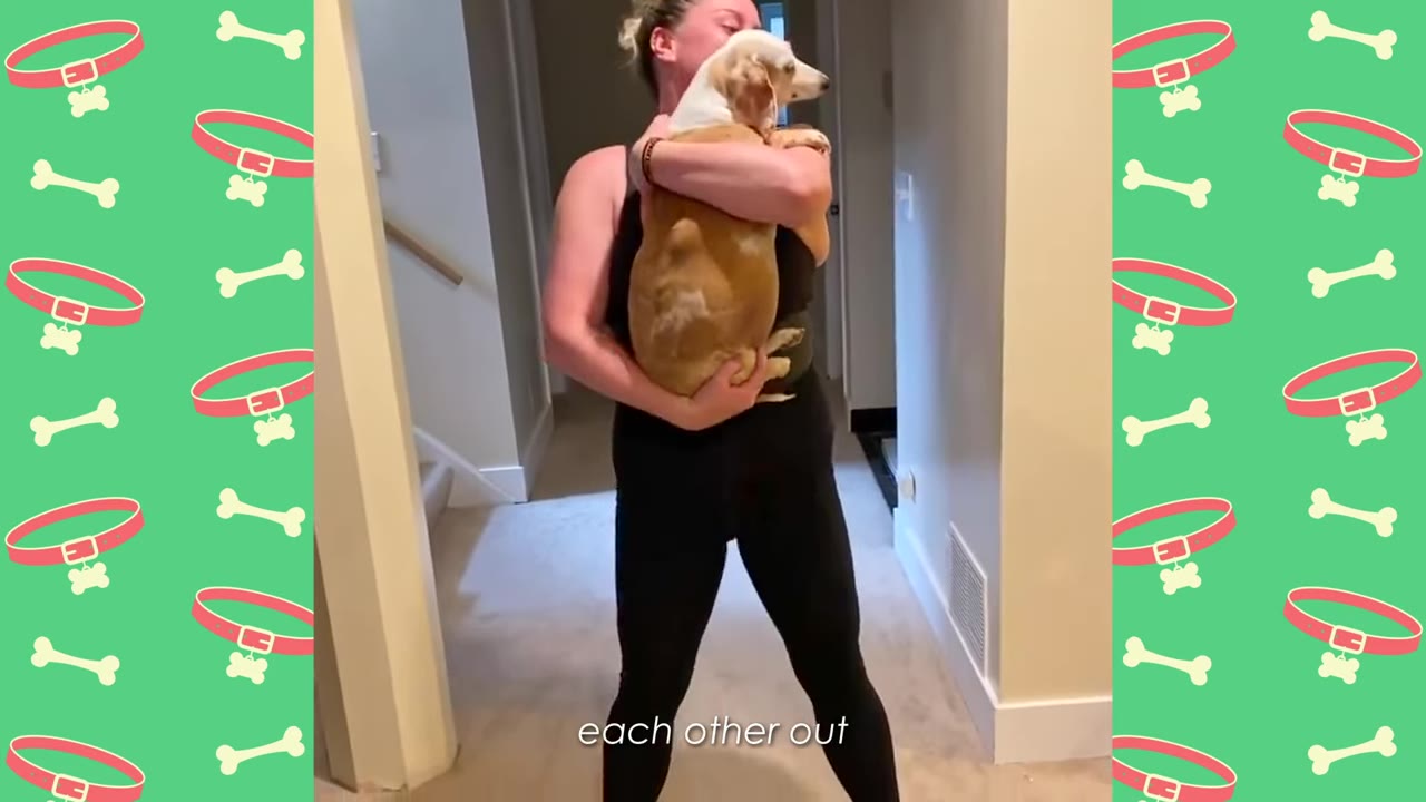 A woman in black athletic wear holds a brown and white dachshund upright in her arms in a hallway.