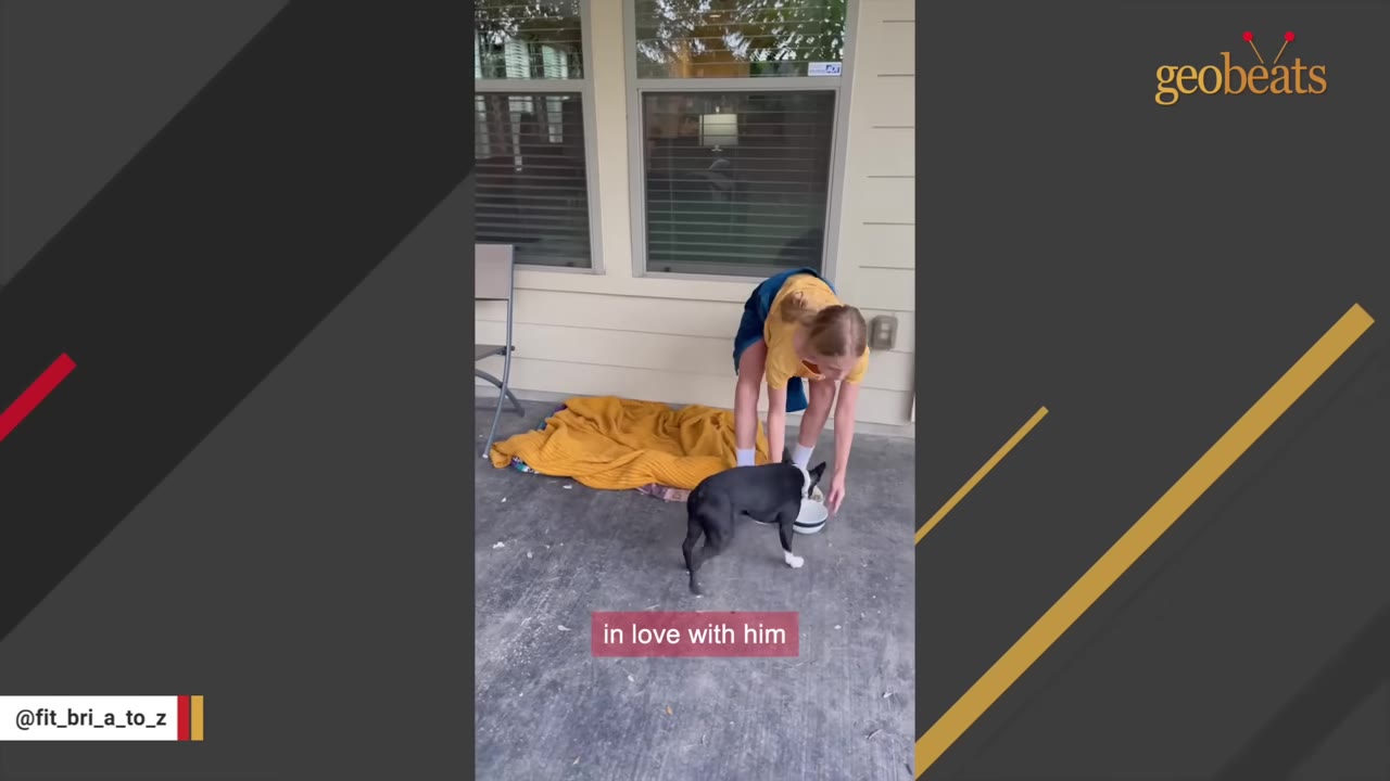 A young girl in a yellow shirt bends down to place a bowl of food or water for a small black and white dog on a concrete patio.