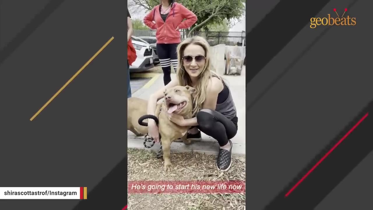 A smiling light brown dog stands next to a crouching woman wearing sunglasses who is hugging him outdoors.