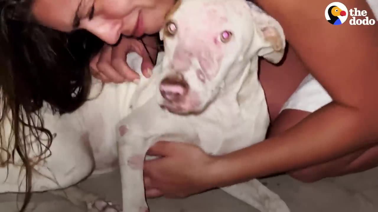 A woman gently hugs a white dog with pinkish skin around its eyes and nose as they sit together on the floor.
