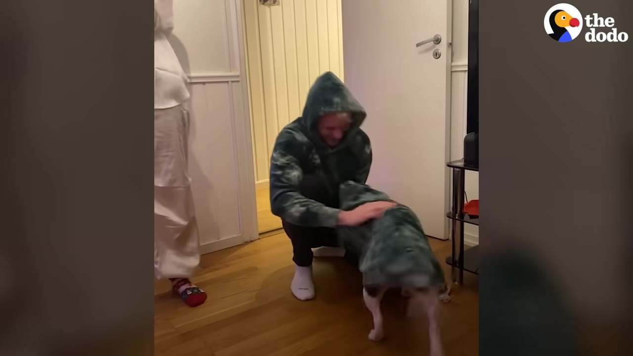 A man wearing a green tie-dye hoodie crouches down to pet a white dog wearing a matching green tie-dye hoodie.