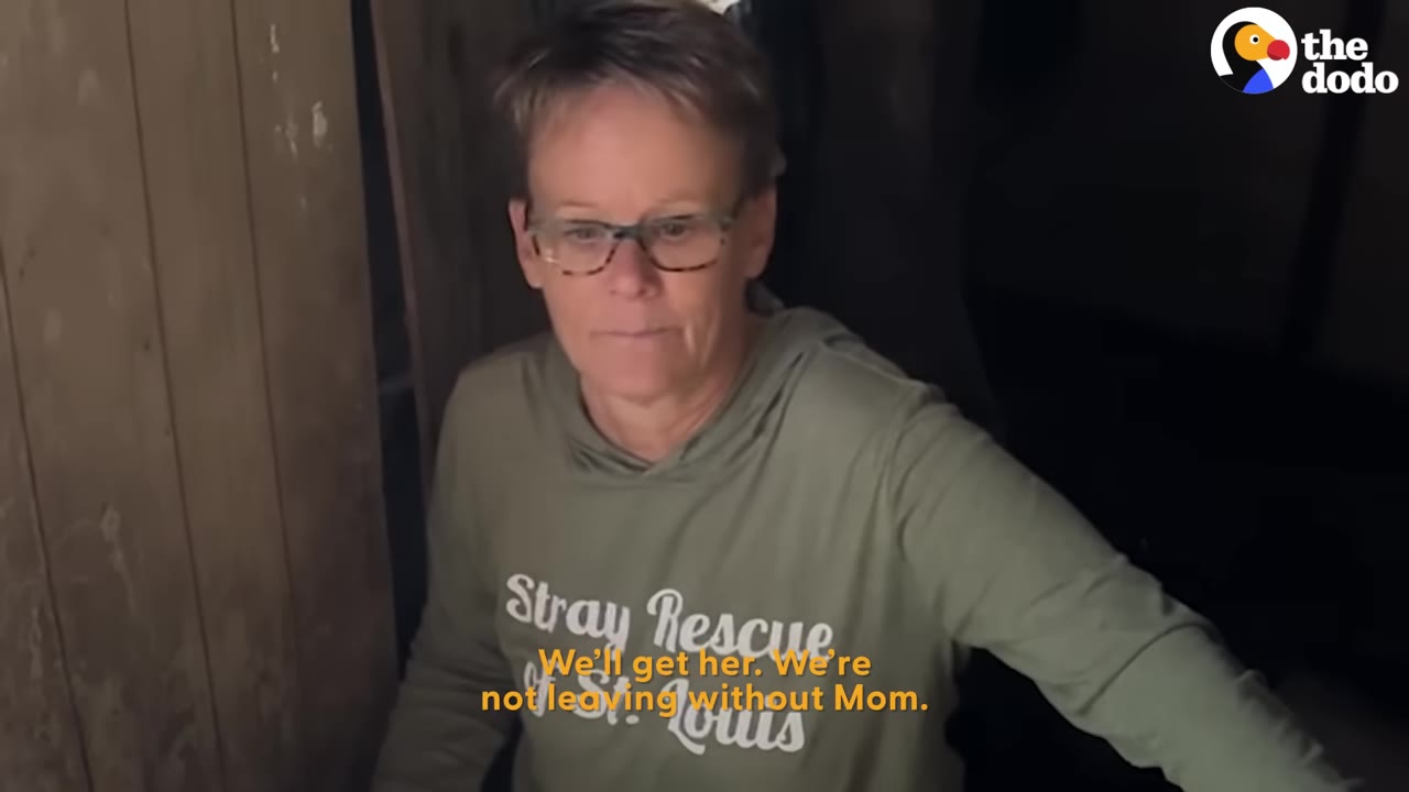 A woman wearing glasses and a green Stray Rescue of St. Louis hoodie looks determinedly forward, with subtitles reading, 'We'll get her. We're not leaving without Mom.'