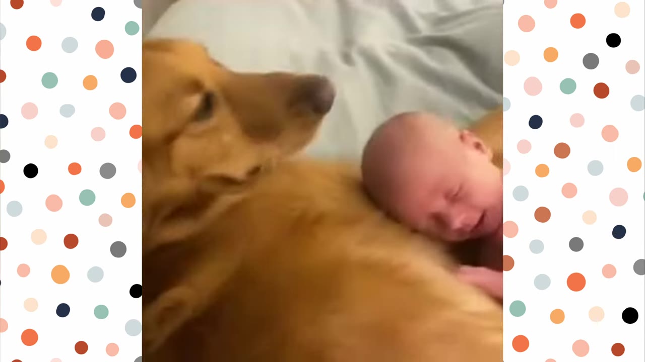 A golden retriever dog lies next to a newborn baby, looking down at the baby's face.