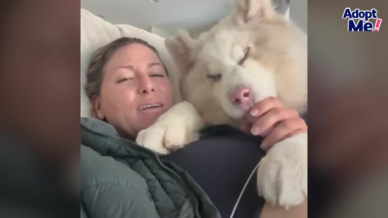 A fluffy, light-colored dog cuddles close to a smiling woman lying down in a home setting.